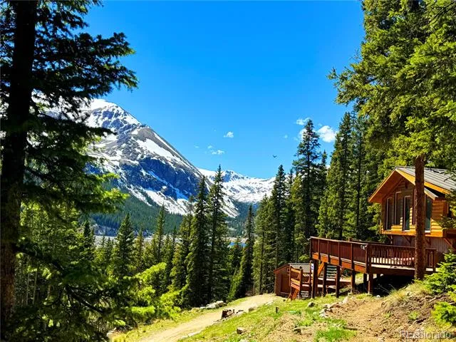 926 Nuthatch Drive Alma, CO 80420