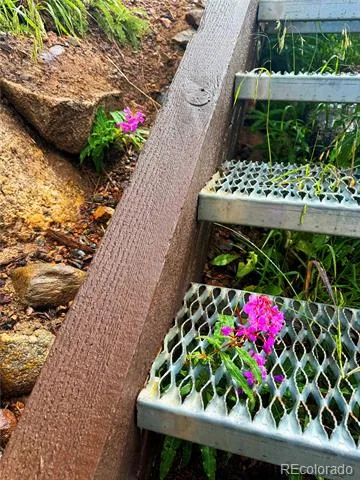 926 Nuthatch Drive Alma, CO 80420