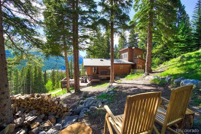 926 Nuthatch Drive Alma, CO 80420