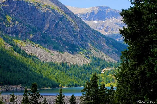 926 Nuthatch Drive Alma, CO 80420