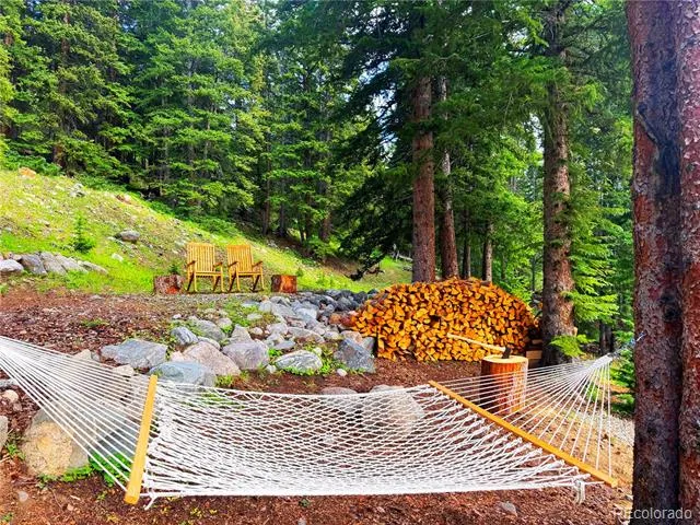 926 Nuthatch Drive Alma, CO 80420