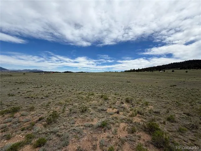 776 Commanche Trail Hartsel, CO 80449