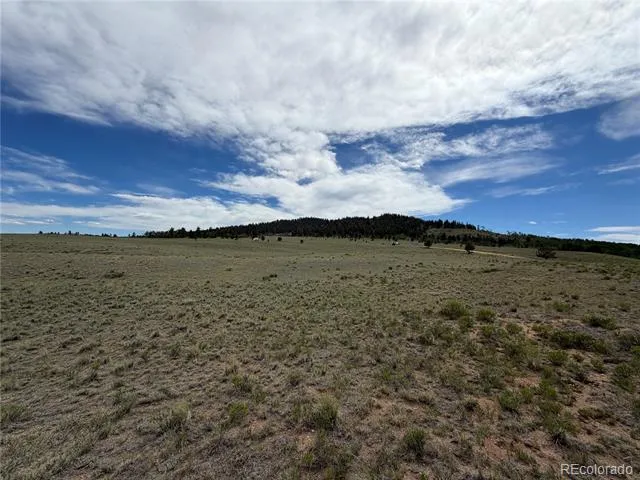 776 Commanche Trail Hartsel, CO 80449