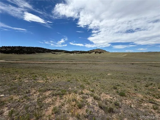 776 Commanche Trail Hartsel, CO 80449