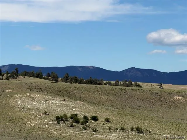 776 Commanche Trail Hartsel, CO 80449