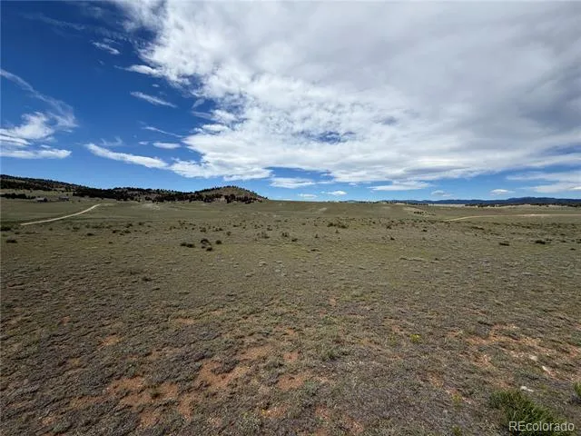 776 Commanche Trail Hartsel, CO 80449