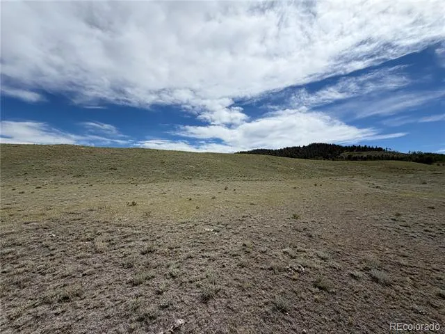 776 Commanche Trail Hartsel, CO 80449