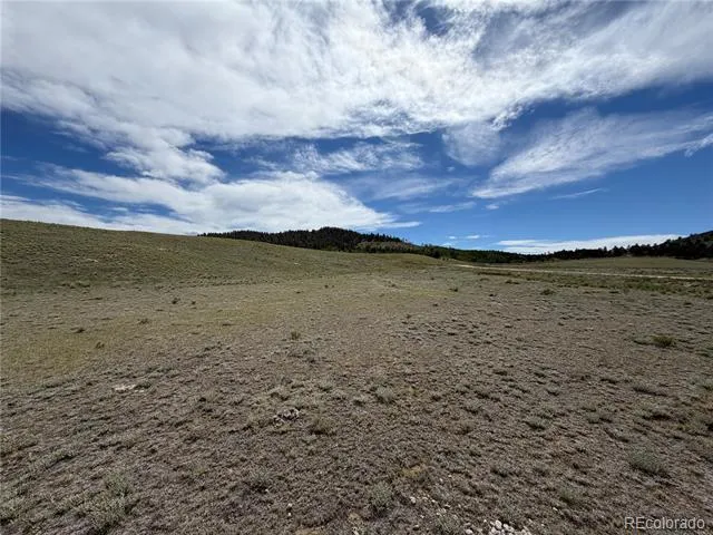 776 Commanche Trail Hartsel, CO 80449