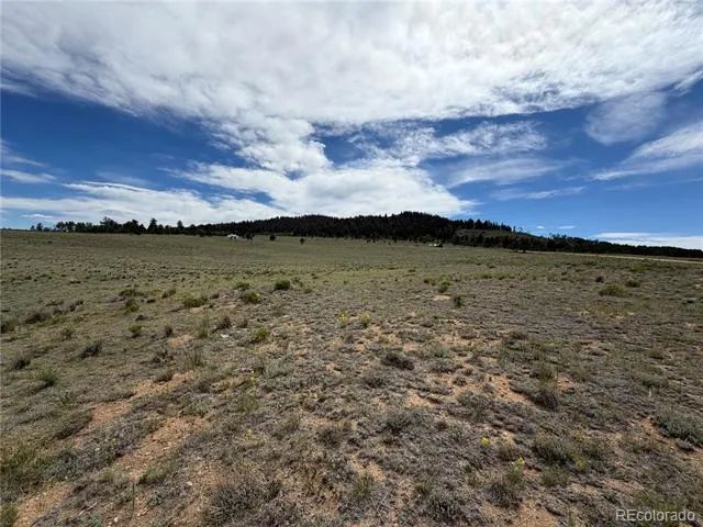 776 Commanche Trail Hartsel, CO 80449