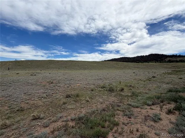 776 Commanche Trail Hartsel, CO 80449