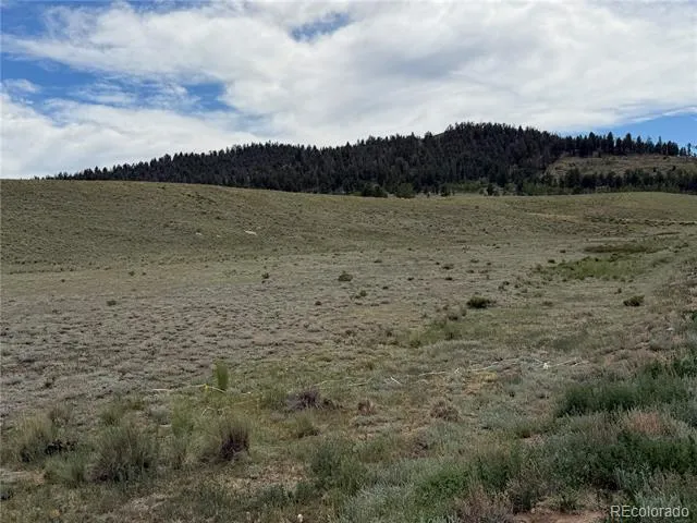 776 Commanche Trail Hartsel, CO 80449