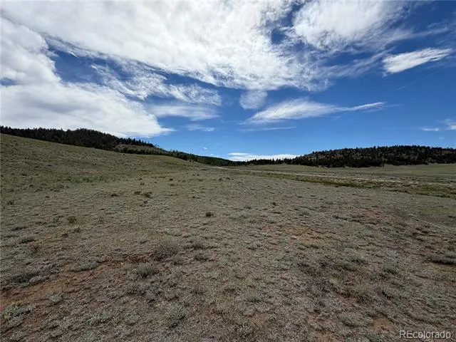 776 Commanche Trail Hartsel, CO 80449