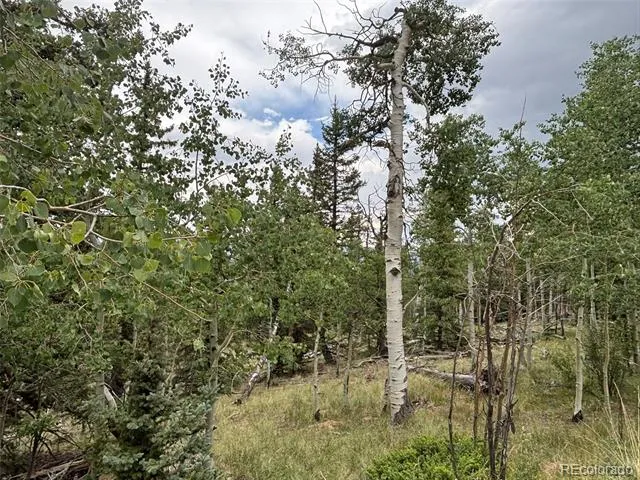 1928 Wells Fargo Circle Jefferson, CO 80456