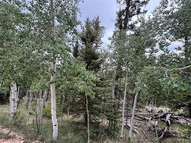 1928 Wells Fargo Circle Jefferson, CO 80456