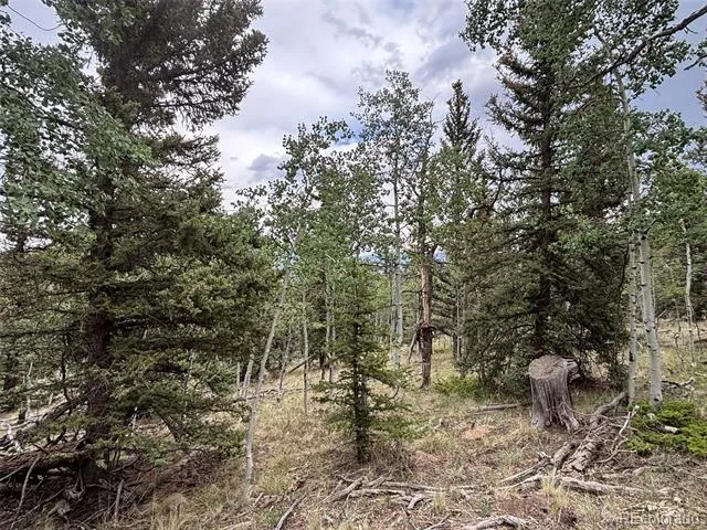 1928 Wells Fargo Circle Jefferson, CO 80456
