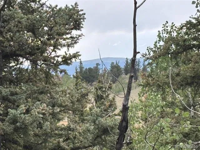 1928 Wells Fargo Circle Jefferson, CO 80456