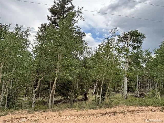 1928 Wells Fargo Circle Jefferson, CO 80456