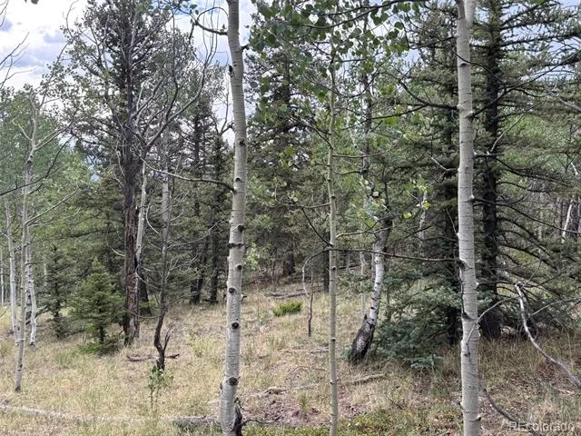 1928 Wells Fargo Circle Jefferson, CO 80456