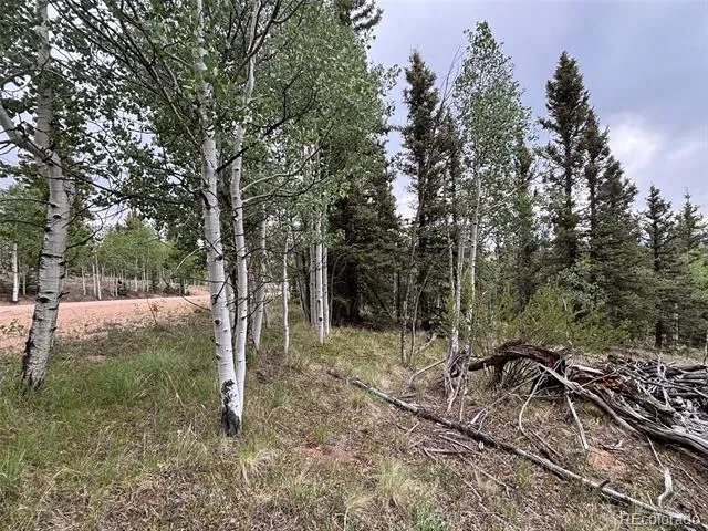 1928 Wells Fargo Circle Jefferson, CO 80456
