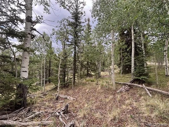 1928 Wells Fargo Circle Jefferson, CO 80456