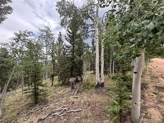 1928 Wells Fargo Circle Jefferson, CO 80456
