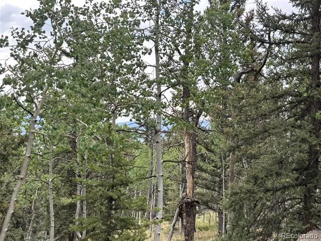 1928 Wells Fargo Circle Jefferson, CO 80456