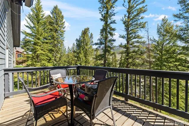 162 High Meadow Drive Dillon, CO 80435