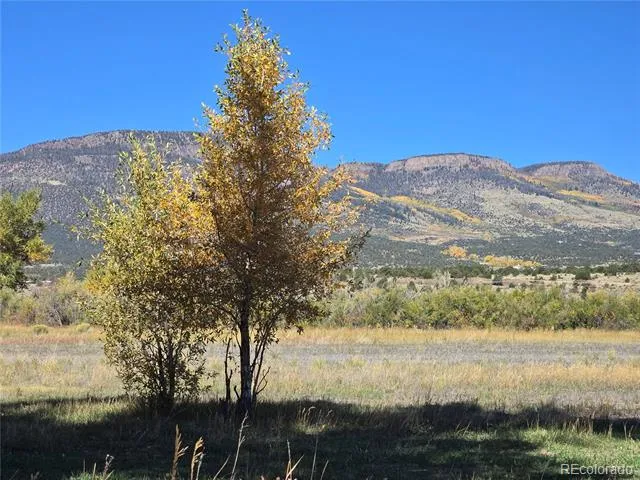 1862 River Island Drive South Fork, CO 81154