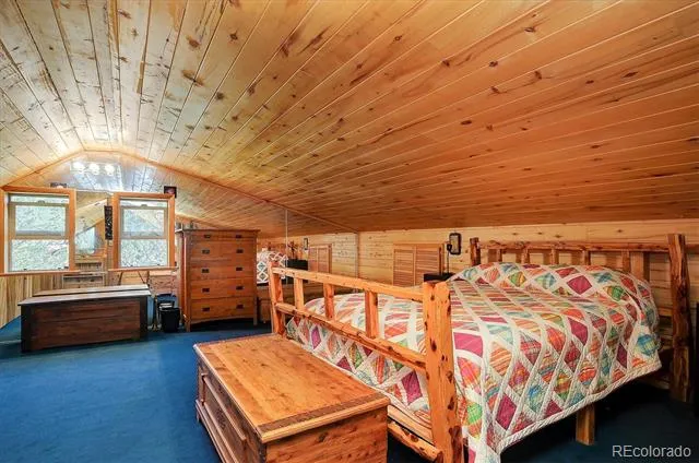 1111 Red Feather Road Cotopaxi, CO 81223