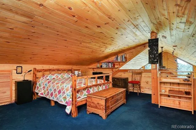 1111 Red Feather Road Cotopaxi, CO 81223
