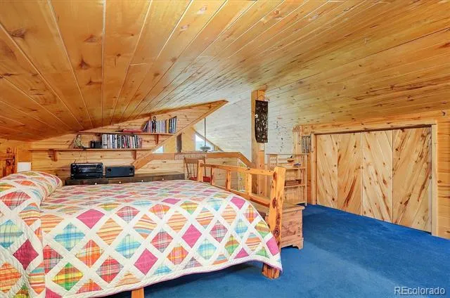 1111 Red Feather Road Cotopaxi, CO 81223