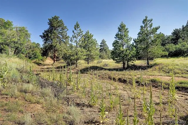 1111 Red Feather Road Cotopaxi, CO 81223