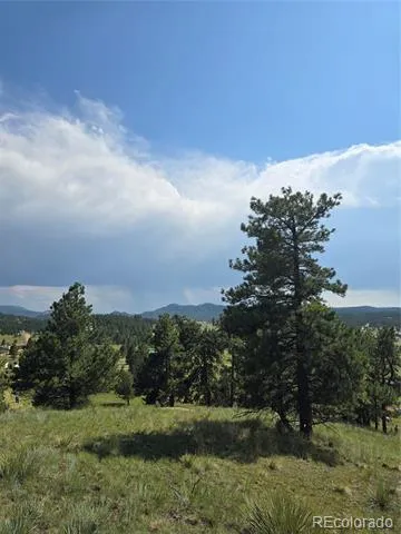 71 Elkhorn Circle Florissant, CO 80816