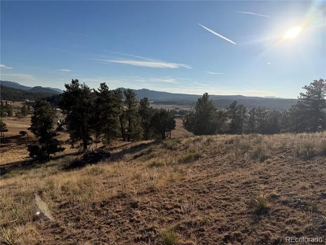 71 Elkhorn Circle Florissant, CO 80816