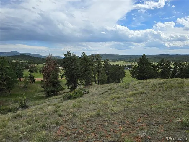 71 Elkhorn Circle Florissant, CO 80816
