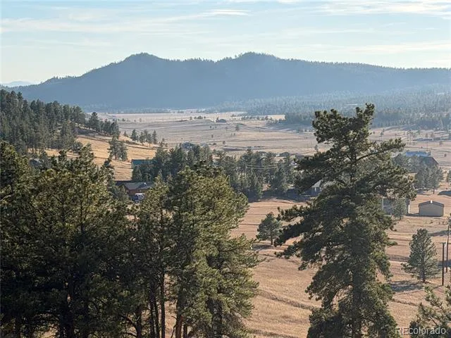 71 Elkhorn Circle Florissant, CO 80816