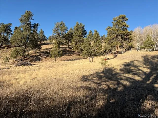 71 Elkhorn Circle Florissant, CO 80816