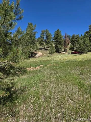 71 Elkhorn Circle Florissant, CO 80816