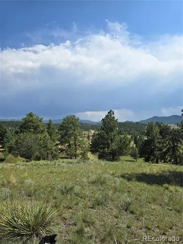 71 Elkhorn Circle Florissant, CO 80816