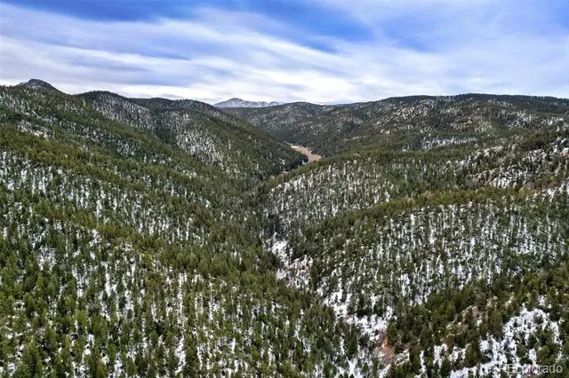 Rock Ridge Road Palmer Lake, CO 80133