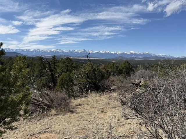 000 Redtail Trail Texas Creek, CO 81223