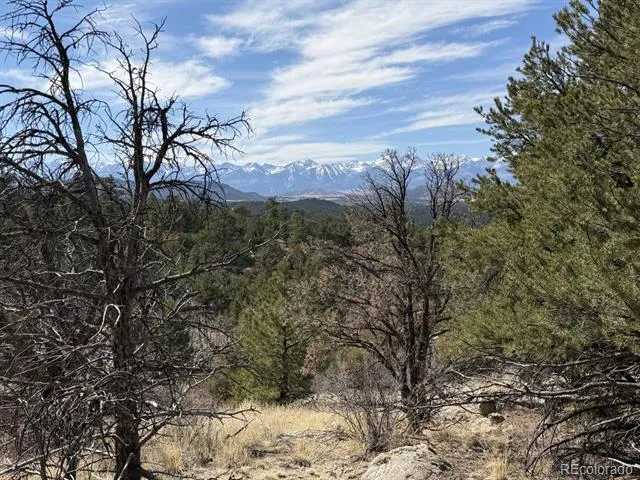 000 Redtail Trail Texas Creek, CO 81223