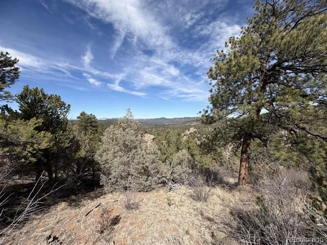000 Redtail Trail Texas Creek, CO 81223