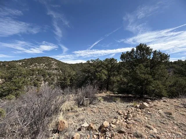 000 Redtail Trail Texas Creek, CO 81223