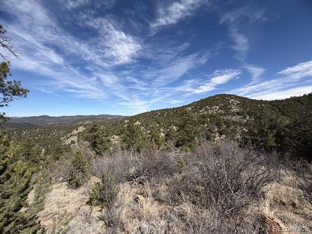000 Redtail Trail Texas Creek, CO 81223