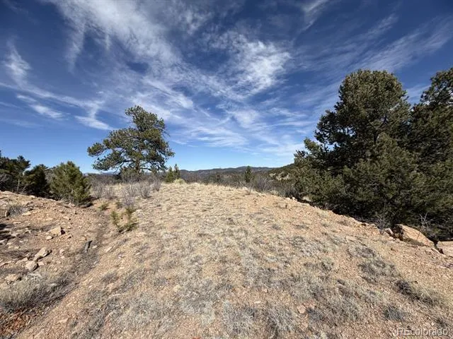 000 Redtail Trail Texas Creek, CO 81223