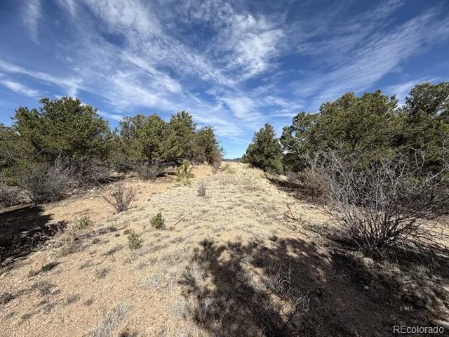 000 Redtail Trail Texas Creek, CO 81223