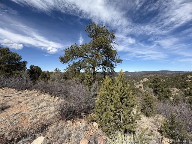 000 Redtail Trail Texas Creek, CO 81223