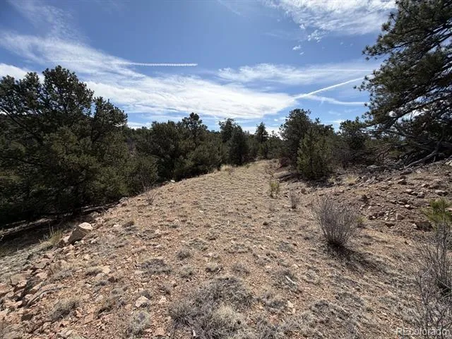 000 Redtail Trail Texas Creek, CO 81223