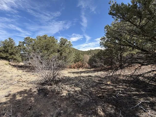 000 Redtail Trail Texas Creek, CO 81223